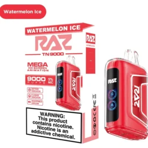 RAZ 9000 WATERMELON ICE 5CT