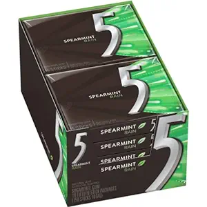 WRIGLEY 5 RAIN SPEARMINT 10PK