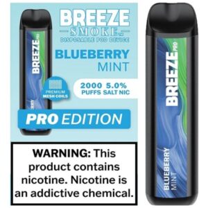 BREEZE PRO2000 BLUEB MINT 10CT