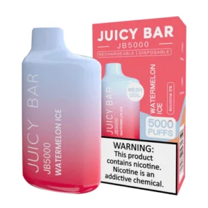 JUICY BAR 5000 WATERMELON ICE 10CT